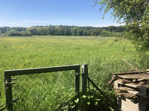 Blick ins Grüne, Süden - 