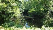 Bild 14 - 