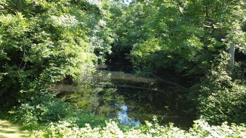 Bild 14 - 