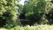 Bild 17 - 