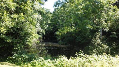 Bild 17 - 