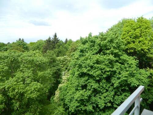 Ausblick - Stillvolle 3-Zimmer-Wohnung mit Balkon, Aufzug &Top-Ausstattung in Forstenried