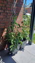 Bild 24 - 