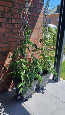 Bild 24 - 