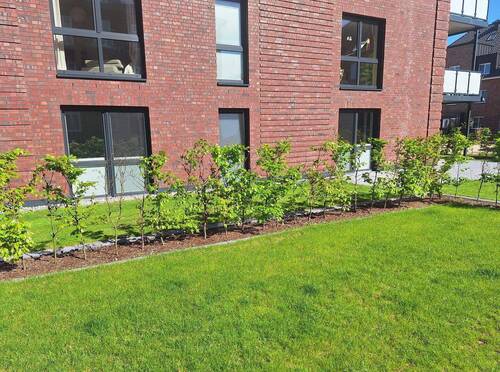 Bild 5 - 