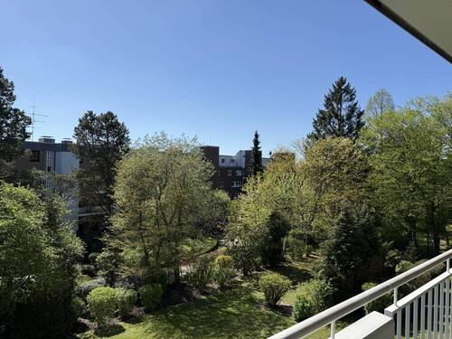 Aussicht ins Grüne - 