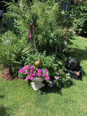 Details vom Garten - 