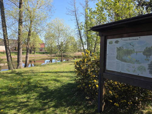 Dorfteich in Gemeindemitte - 