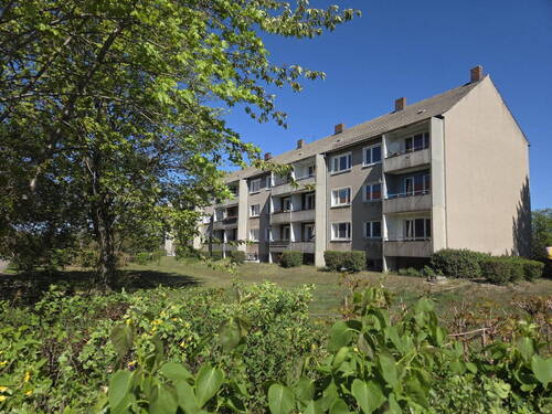 MFH Rückseite - Mehrfamilienhaus, Wohnhaus mit 1,43 m&sup2; in Schleife zum Kaufen