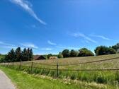 Pferdekoppel/ Weide - 