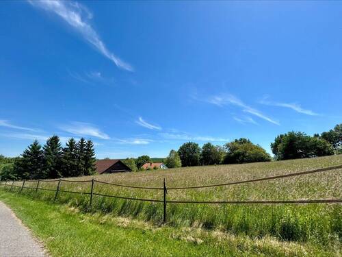 Pferdekoppel/ Weide - 