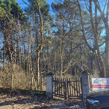 Blick auf das Grundstück - Bauland in schöner Grünlage - Nachbargrundstücke zukaufbar