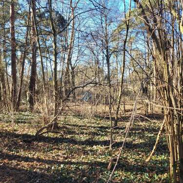Blick auf das Grundstück - Grundstück zum Kaufen in Strausberg