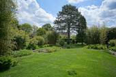 Blick in den Garten - 