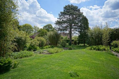 Blick in den Garten - 