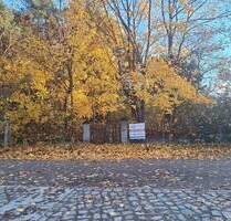 Ich bin auch teilbar - 60 m Straßenfront mit Grünblick - Strausberg Gladowshöhe