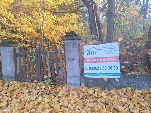 Blick auf das Grundstück - Grundstück in Strausberg