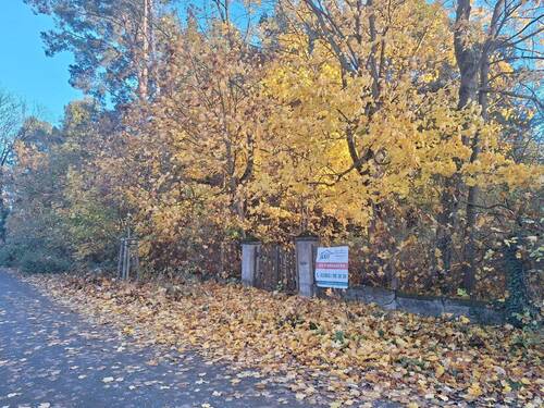 Blick auf das Grundstück - 