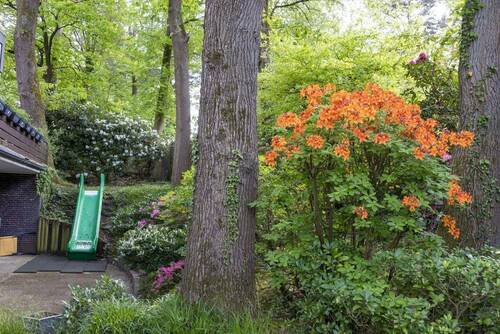 Garten und Terrasse im EG - 
