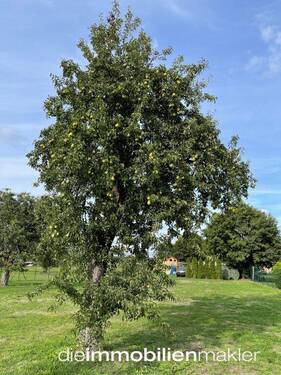 Grundstück - Grundstück in Märkische Heide