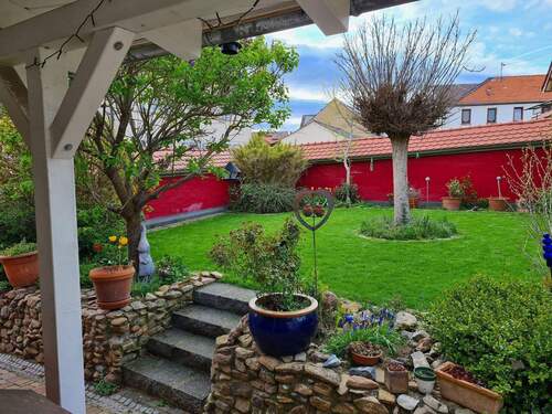 Blick auf Grünfläche - 