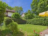 Blick in den eingewachsenen Südgarten - 