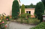 Wiese - 