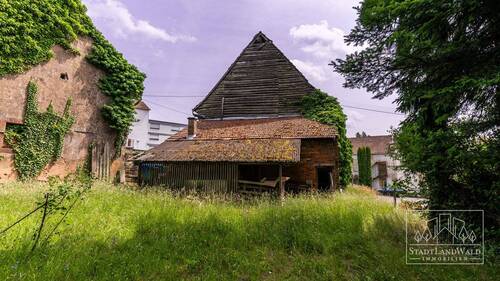 Garten - Hinterhaus - 