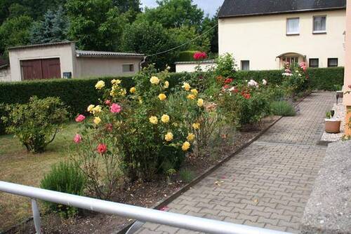 Rosen Eingangsbereich - 