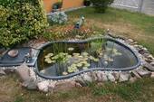 Gartenteich - 