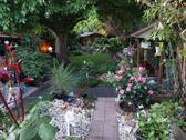Garten - Bachem, attraktive Lage, Einfamilienhaus mit großem Garten, 4 Zimmer, EBK, Terrasse, Garage, Keller