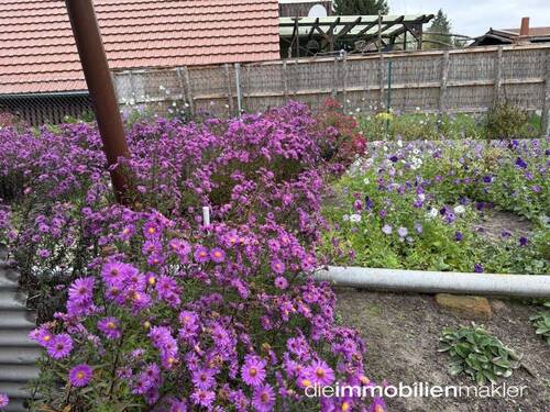 Garten/ Grundstück - 