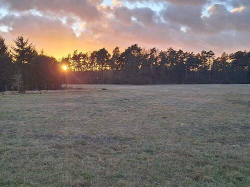 Blick vom Grundstück - Baugrundstück mit unverbaubarem Grünblick – Ideal für Ihr Traumhaus