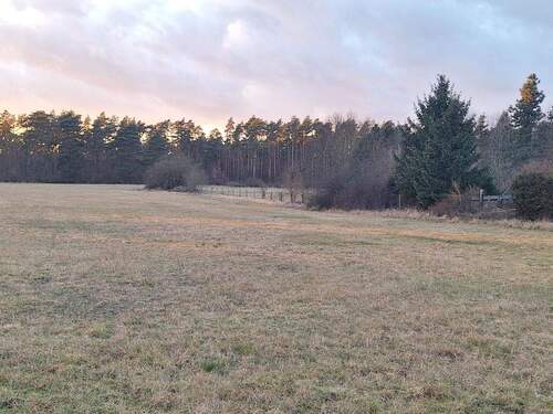 Blick vom Grundstück - Grundstück zum Kaufen in Rüdersdorf bei Berlin