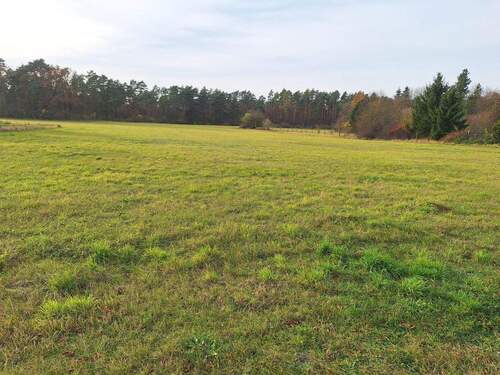 Blick vom Grundstück - Grundstück in Rüdersdorf bei Berlin