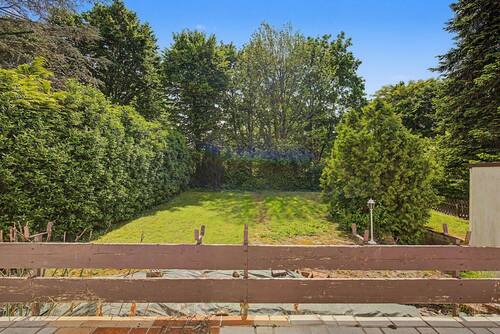 Bilick in den Garten - 