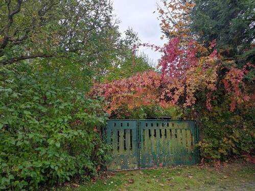 Bild 5 - 