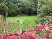 Bild 6 - 