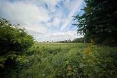 Feldblick v.d. Terrasse - 