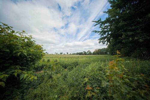 Feldblick v.d. Terrasse - 