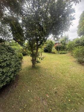Garten vorne - 