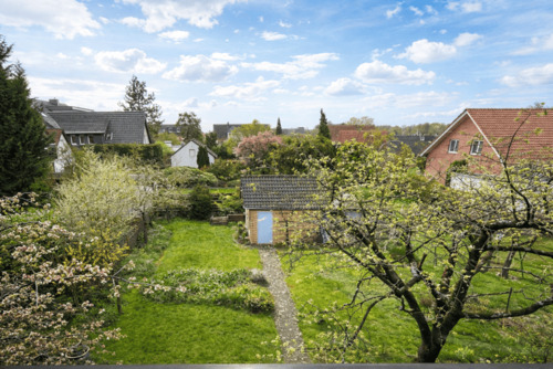 Blick in den tiefen Garten - 
