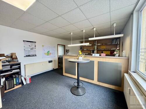 Gewerbefläche - Mehrfamilienhaus, Wohnhaus mit 112,00 m&sup2; in Schwarzatal OT Lichtenhain zum Kaufen