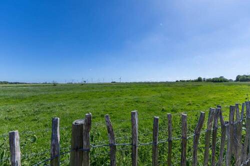 Fernblick - 