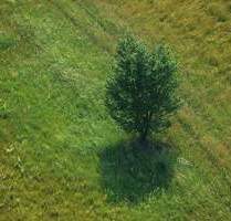 Bad Dürrheim, Baugrundstück in begehrter Lage