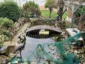 Gemeinschaftlicher Garten mit Teich - 