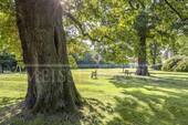 Reemtsma Park - 