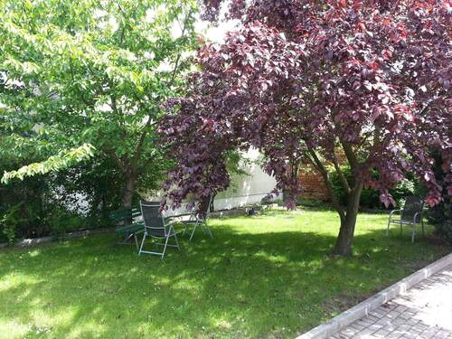 Gemeinschaftsgarten - Gewerbeobjekt (Büro, Produktion, Verkauf) zum Kaufen in Cottbus