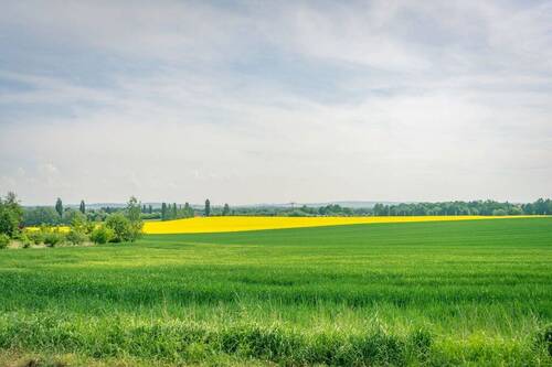 Wohnumfeld - 
