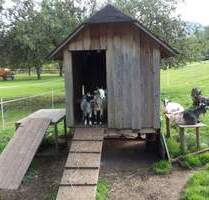 Ruhige Erdgeschoß-Wohnung KFW-Förderung zu 1,03% Zinsen möglich - Kirchzarten